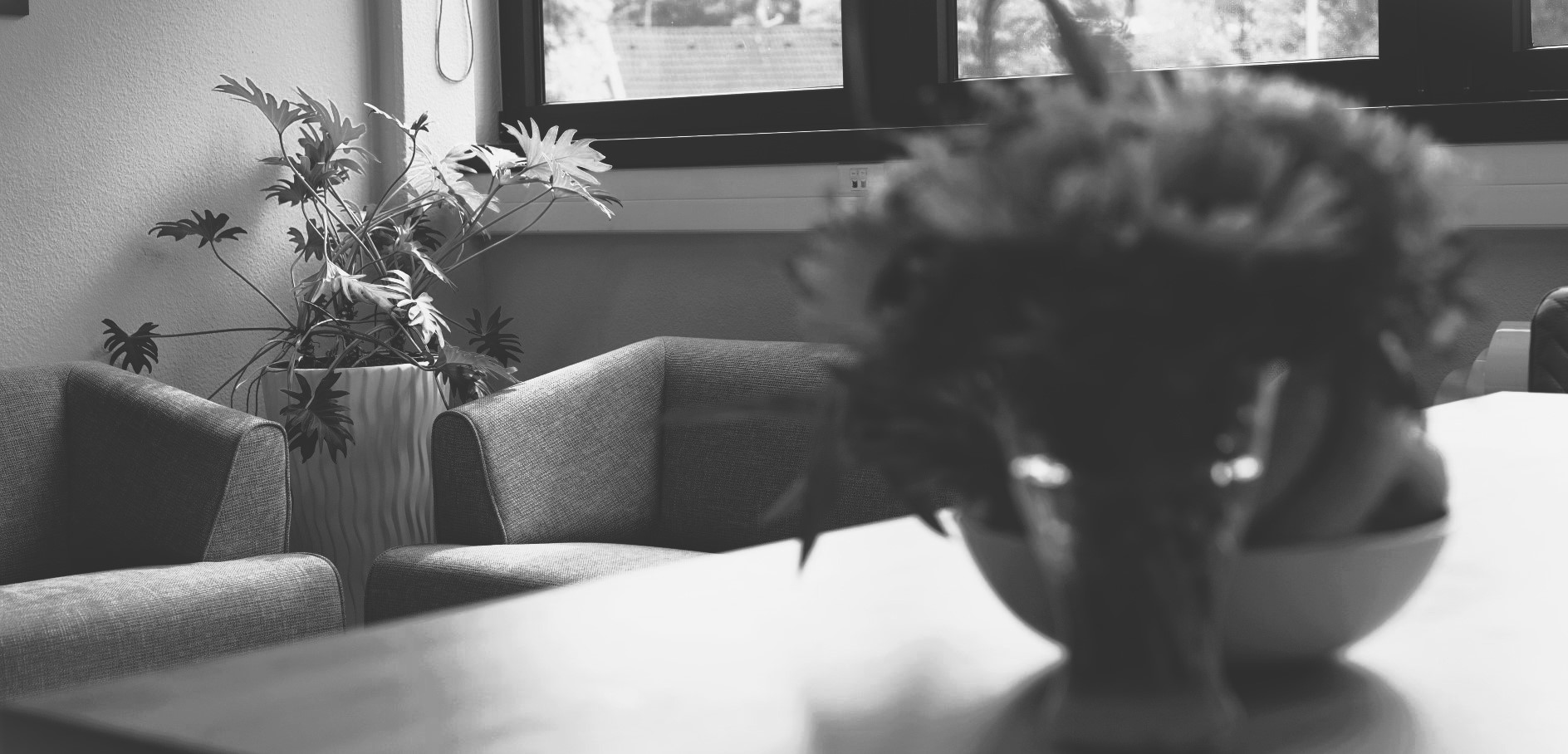 CDS Steuerberater Privatpersonen